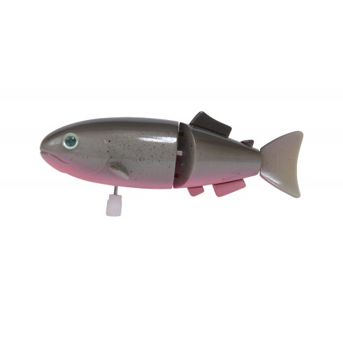 Poisson gris Les petites merveilles