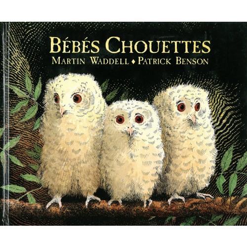 Livre Bébés chouettes de Waddel-Benson