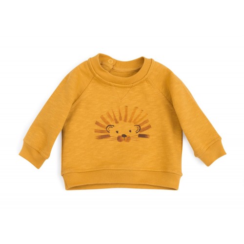 Sweat Lion Ben Sous Mon Baobab