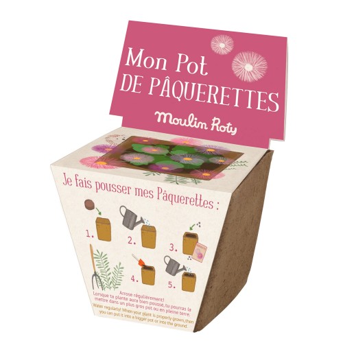 Pot de graines pâquerette Le jardin du Moulin