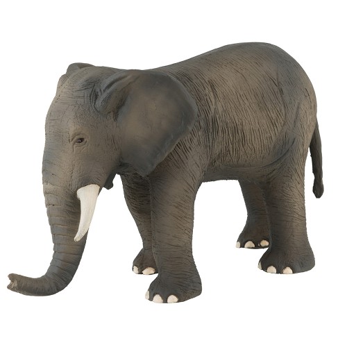 Grand éléphant Aujourd'hui c'est mercredi