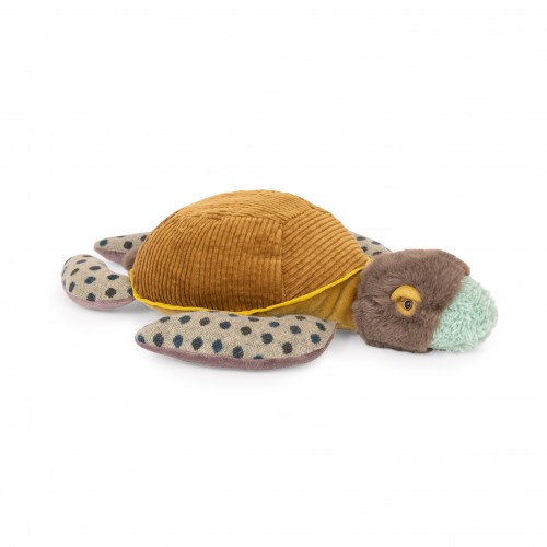 Petite tortue Tout autour du monde
