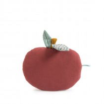 Coussin pomme Après la pluie