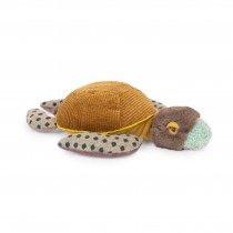 Petite tortue Tout autour du monde