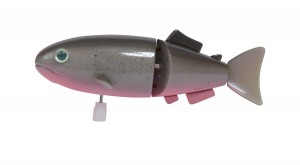 Poisson gris Les petites merveilles